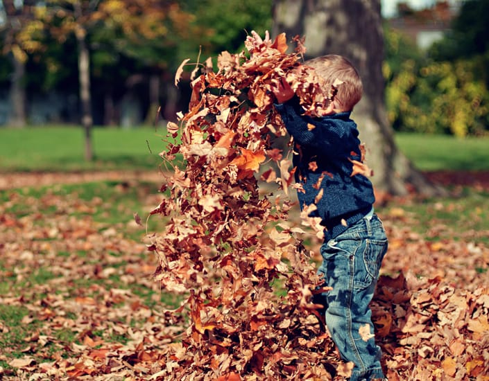 Evaluation with factoris.one|sozial